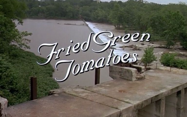 More than a Side Dish: The Complexity of Women in Fried Green Tomatoes